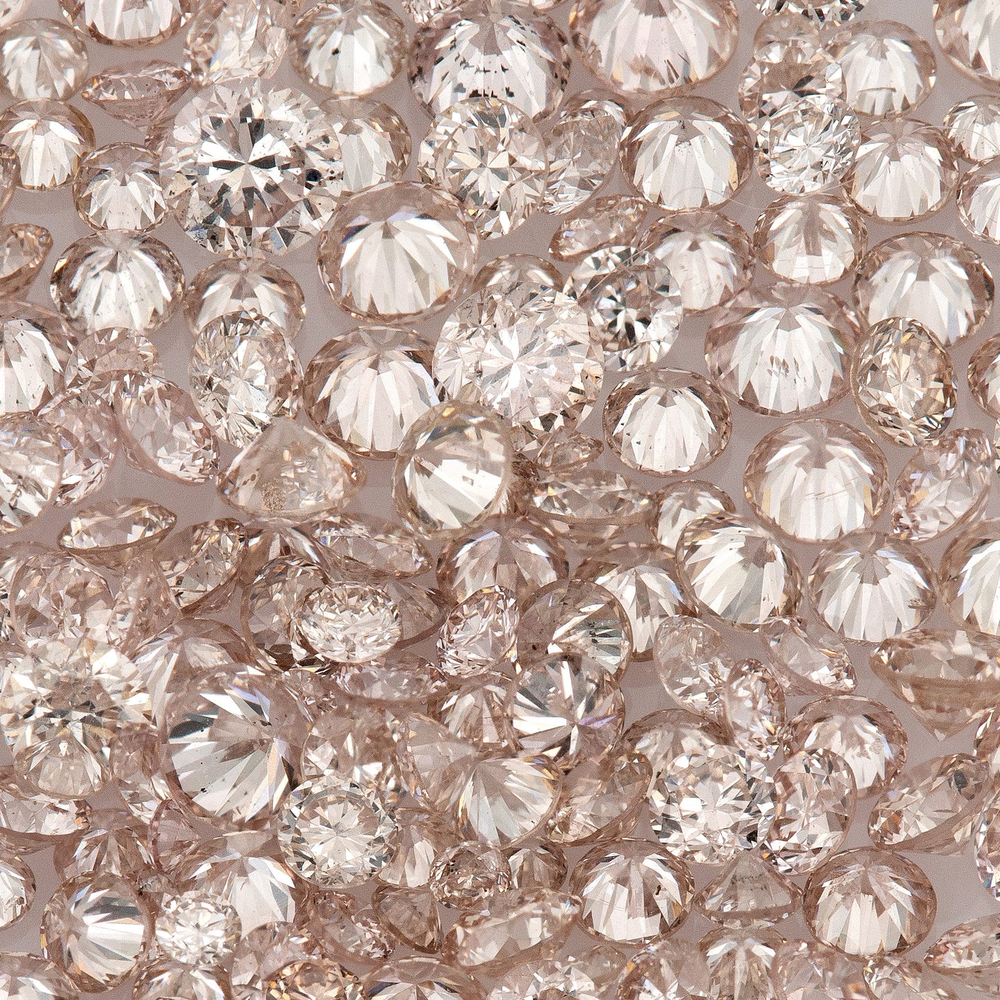 Fancy Pink Rose (8PR) | Argyle Pink Diamonds 0.25ct | Mix Scoop | Fancy Rose Pink Natural Diamonds | Round | Australian Diamonds | Australia | Melee | Accents
