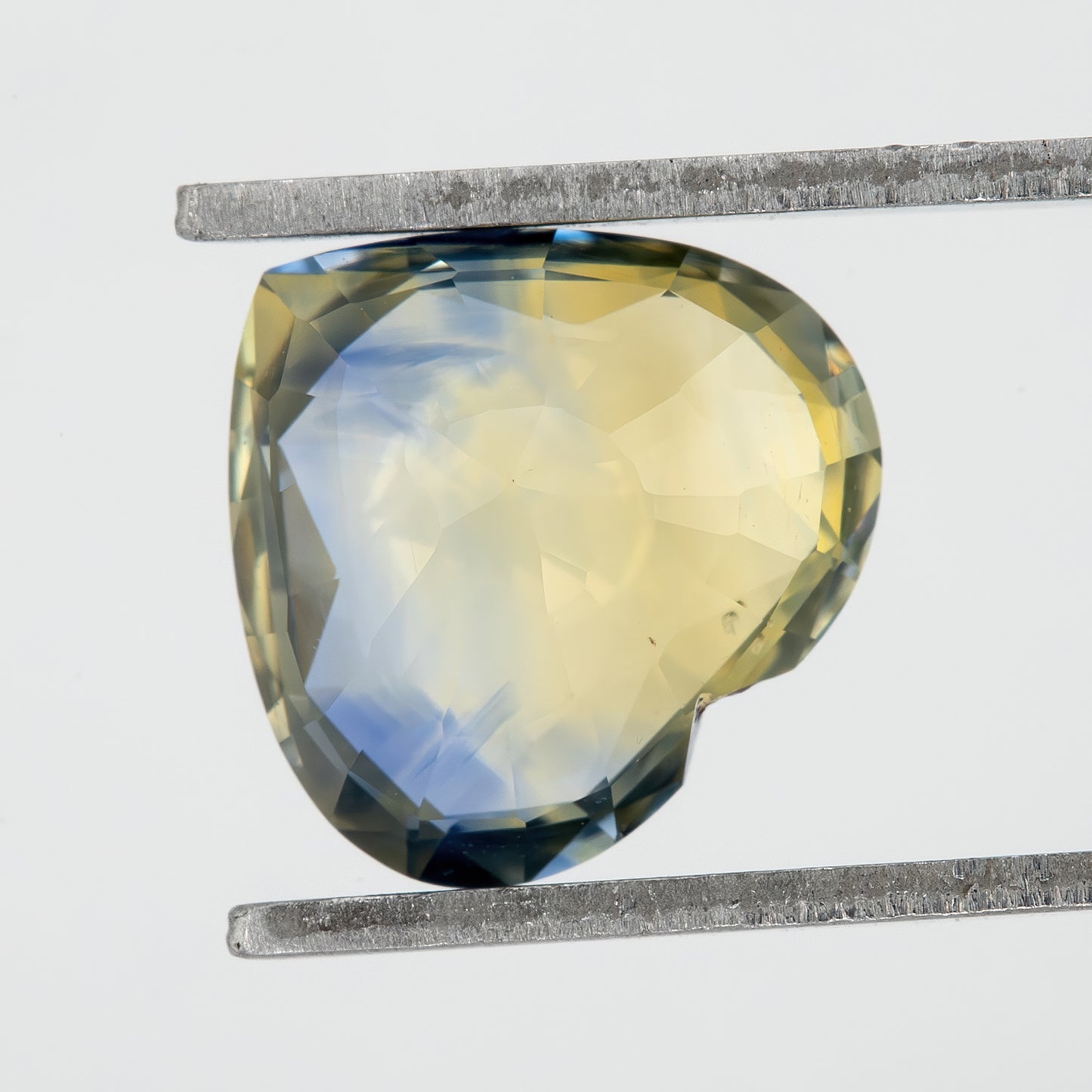 Champagne Yellow and Blue Sapphire | 2.21 Ct Heart Cut Unheated Gemstone | Bold Center Stone for Fine Ring or Pendant Jewelry