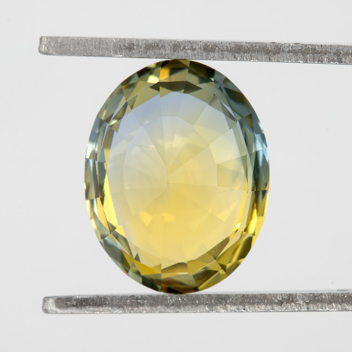 Champagne Yellow and Blue Sapphire | 2.26 Ct Oval Cut Unheated Natural Gemstone | Eye Clean Statement Sapphire for Luxury Ring or Pendant