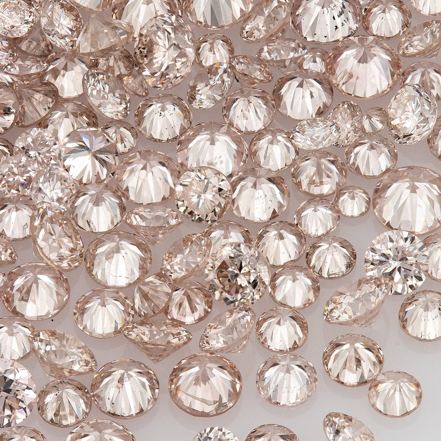 Fancy Pink Rose (8PR) | Argyle Pink Diamonds 0.25ct | Mix Scoop | Fancy Rose Pink Natural Diamonds | Round | Australian Diamonds | Australia | Melee | Accents