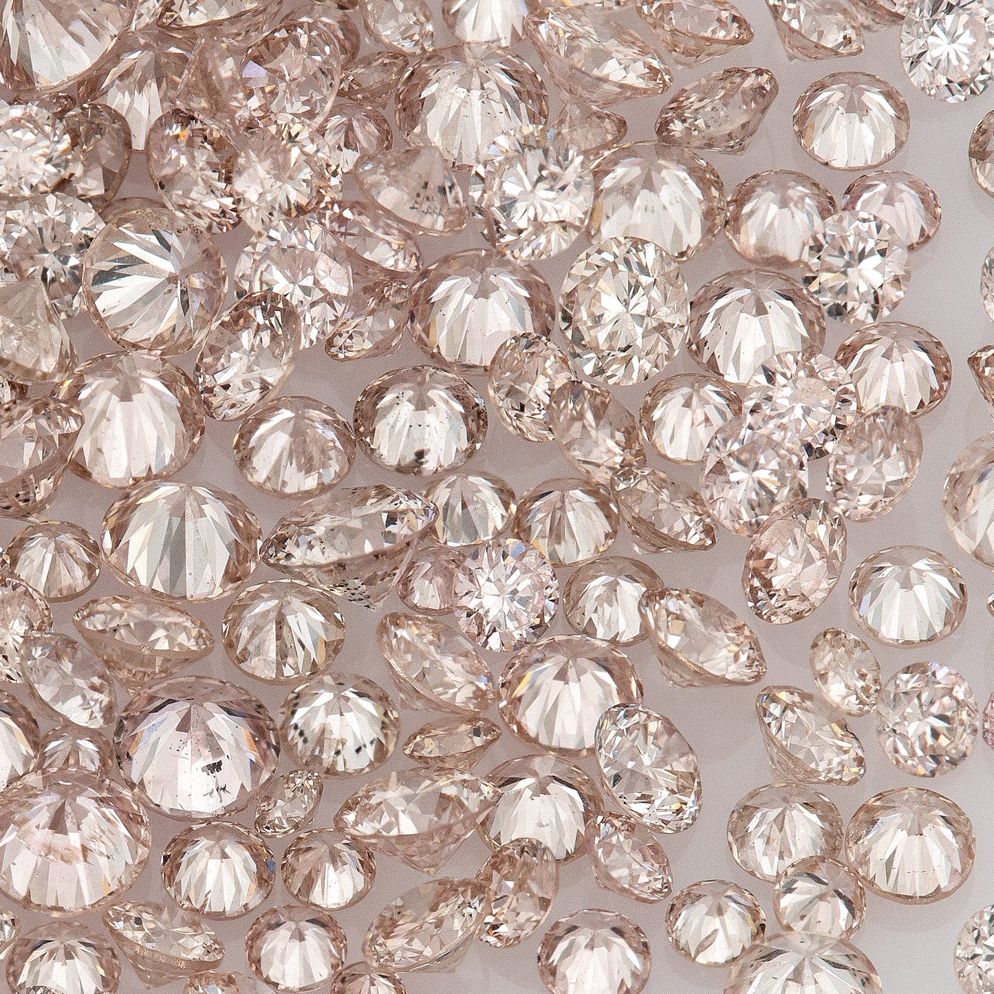 Fancy Pink Rose (8PR) | Argyle Pink Diamonds 0.25ct | Mix Scoop | Fancy Rose Pink Natural Diamonds | Round | Australian Diamonds | Australia | Melee | Accents
