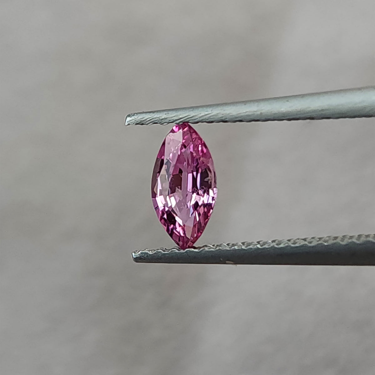 Pink marquise sapphire held upright face-up in tweezers against a gray background.