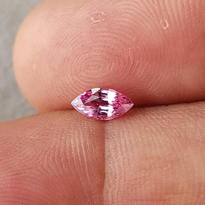 Pink marquise sapphire resting horizontally between fingertips for scale, with its full outline visible.