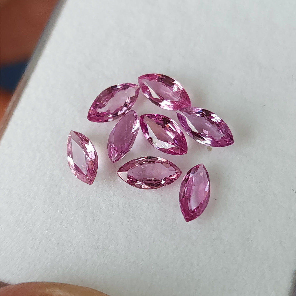 The complete eight-sapphire group on a white tray held by fingers at its edges, providing contextual scale.