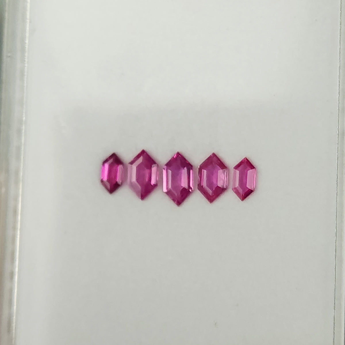 Close face-up row of the five pink rubies on a white display tray.