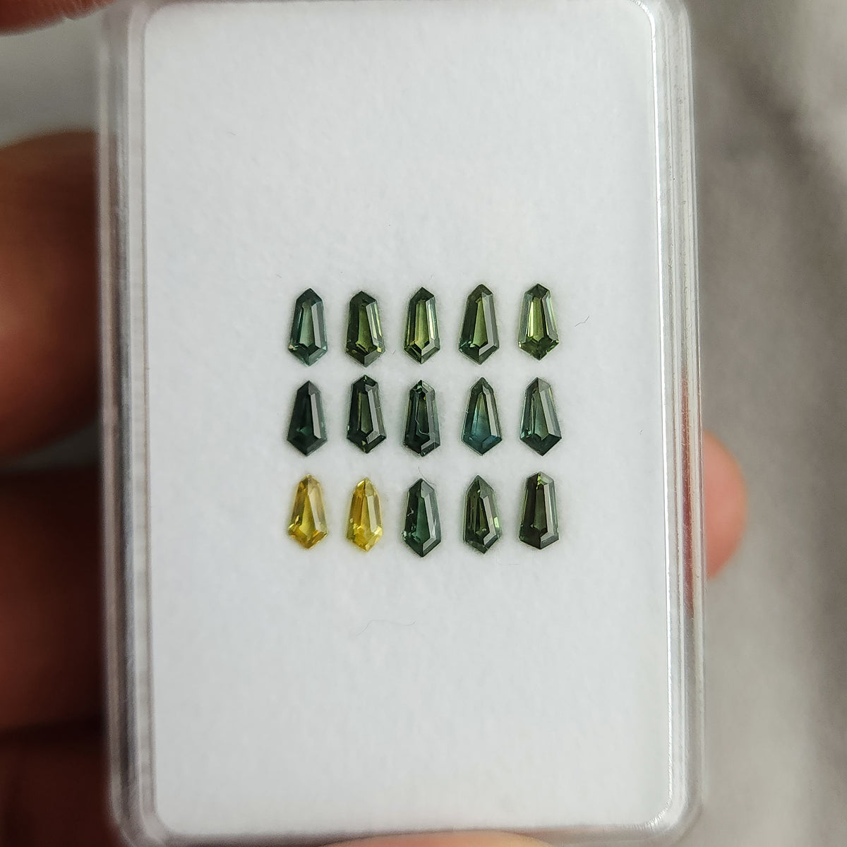 Complete white display tray containing the fifteen sapphire choices, held upright.