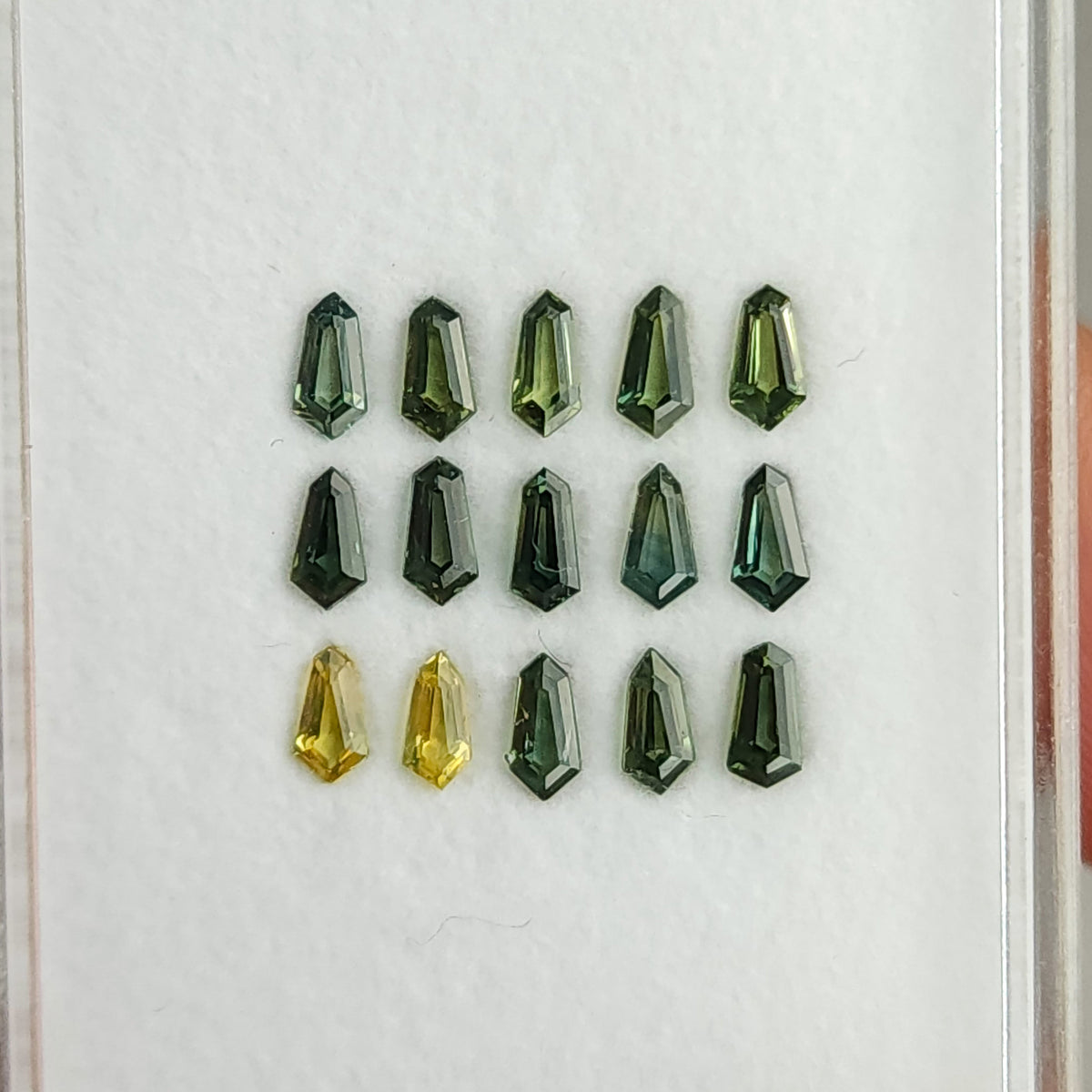Close face-up view of the fifteen geometric sapphires arranged in rows, including two yellow stones.