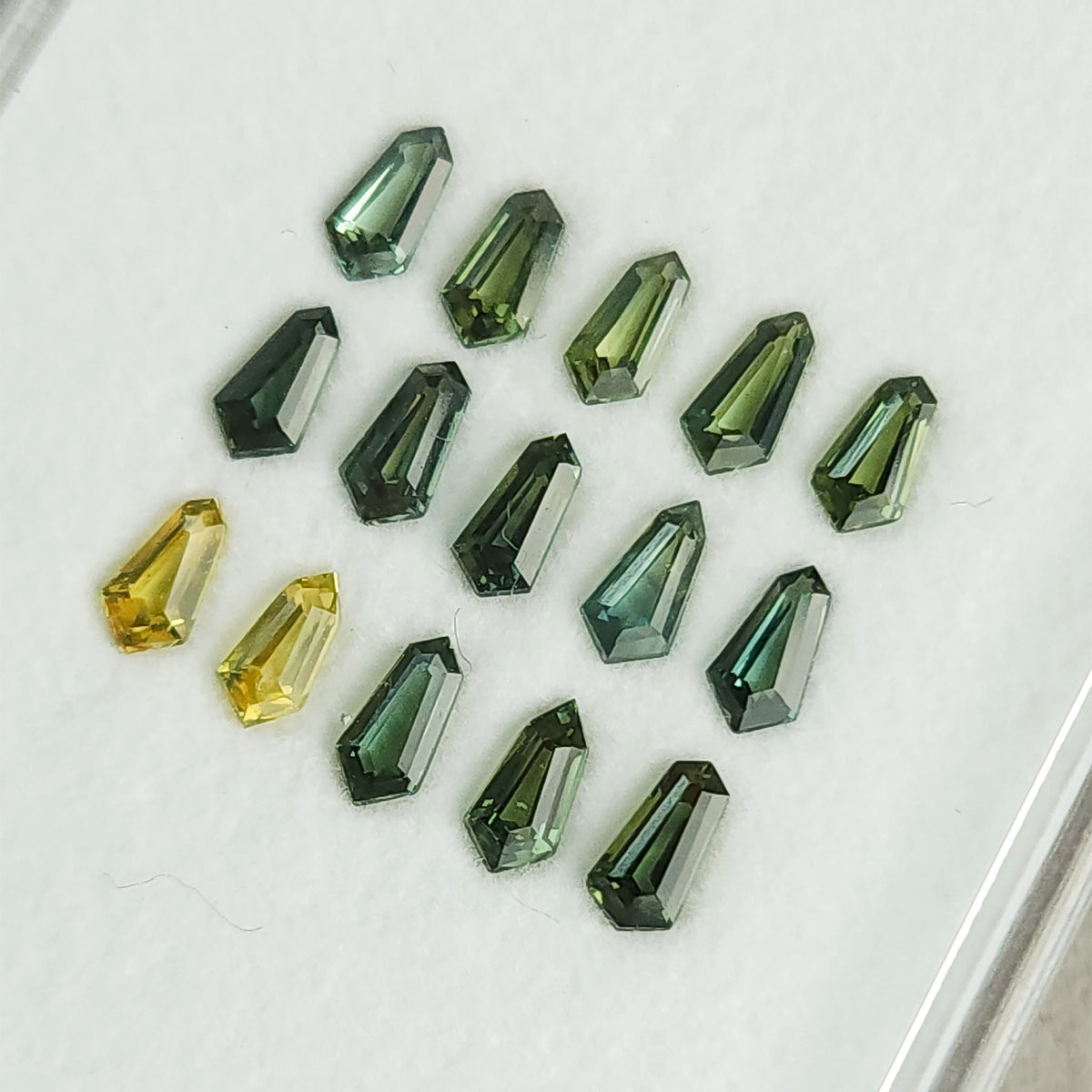 Sapphire rows on a white tray viewed from a low diagonal angle.