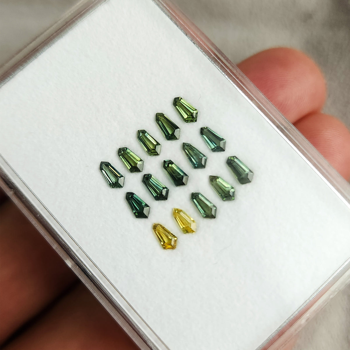 Angled handheld tray view of the fifteen green and yellow sapphire choices.