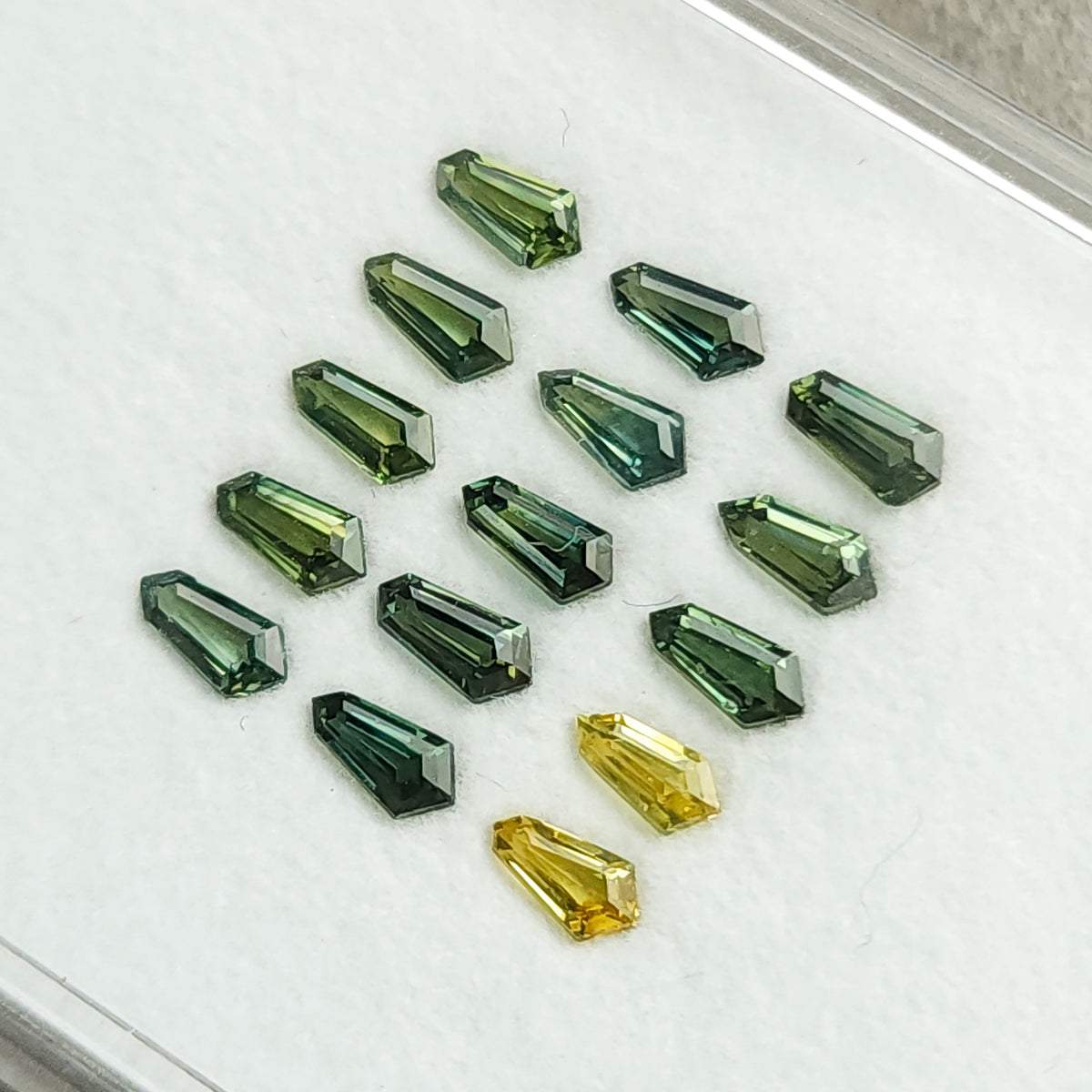 The fifteen sapphires seen close-up on the tray at a diagonal angle.