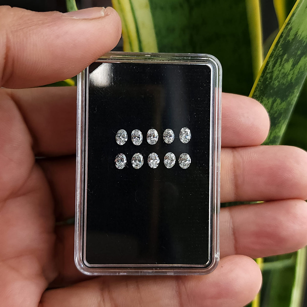 Hand holding a display box with ten oval diamonds in two rows, with leaves behind it.