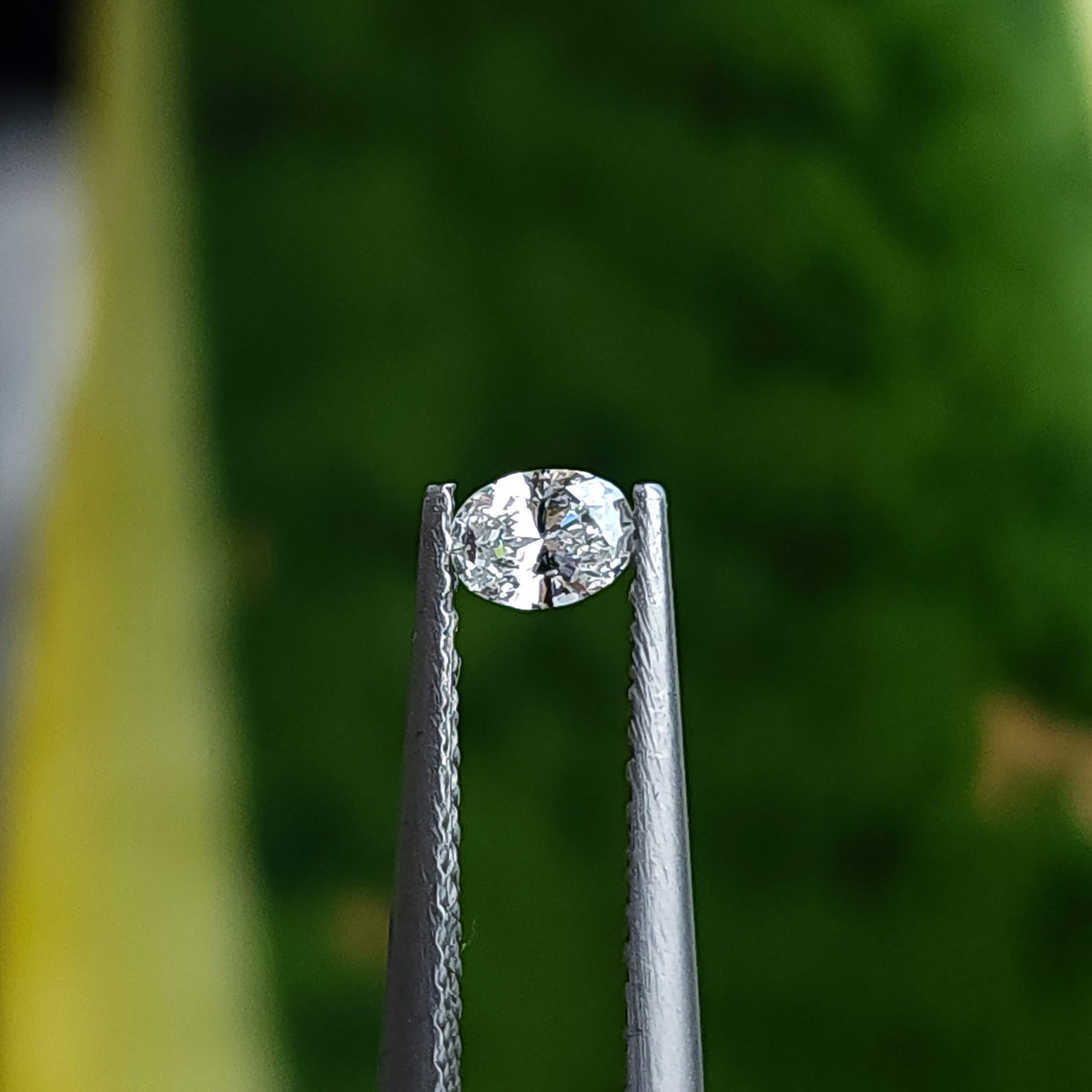 Single oval diamond held in tweezers at a slight angle against a blurred green background.
