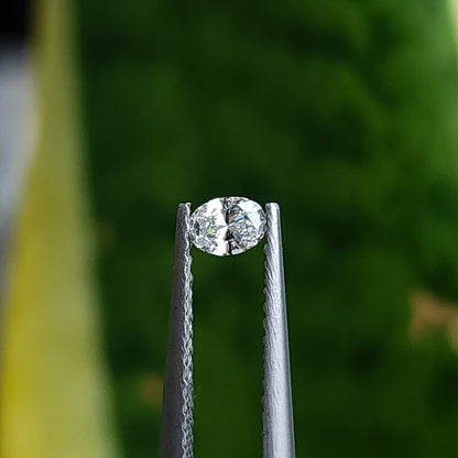 Single oval diamond held in tweezers at a slight angle against a blurred green background.
