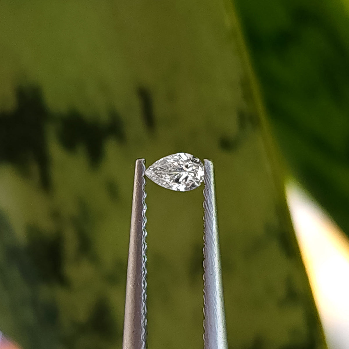 Single pear brilliant diamond held at an oblique angle in tweezers against a blurred green background.