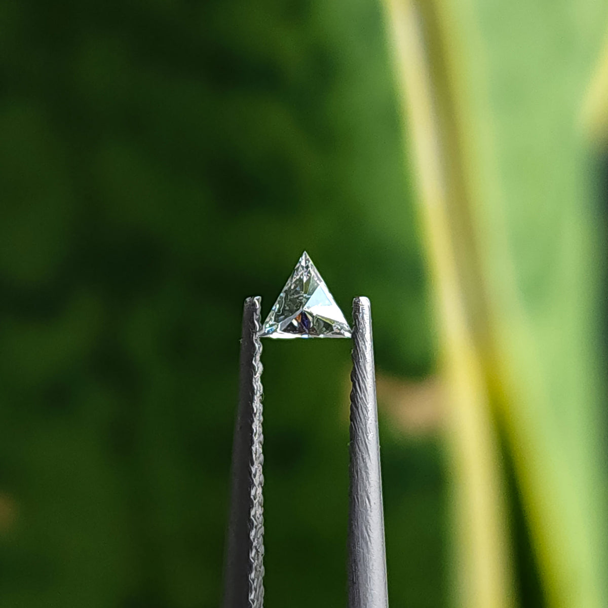 Single triangle diamond reversed in tweezers, with broad pavilion facets reflecting pale light and dark triangular areas.