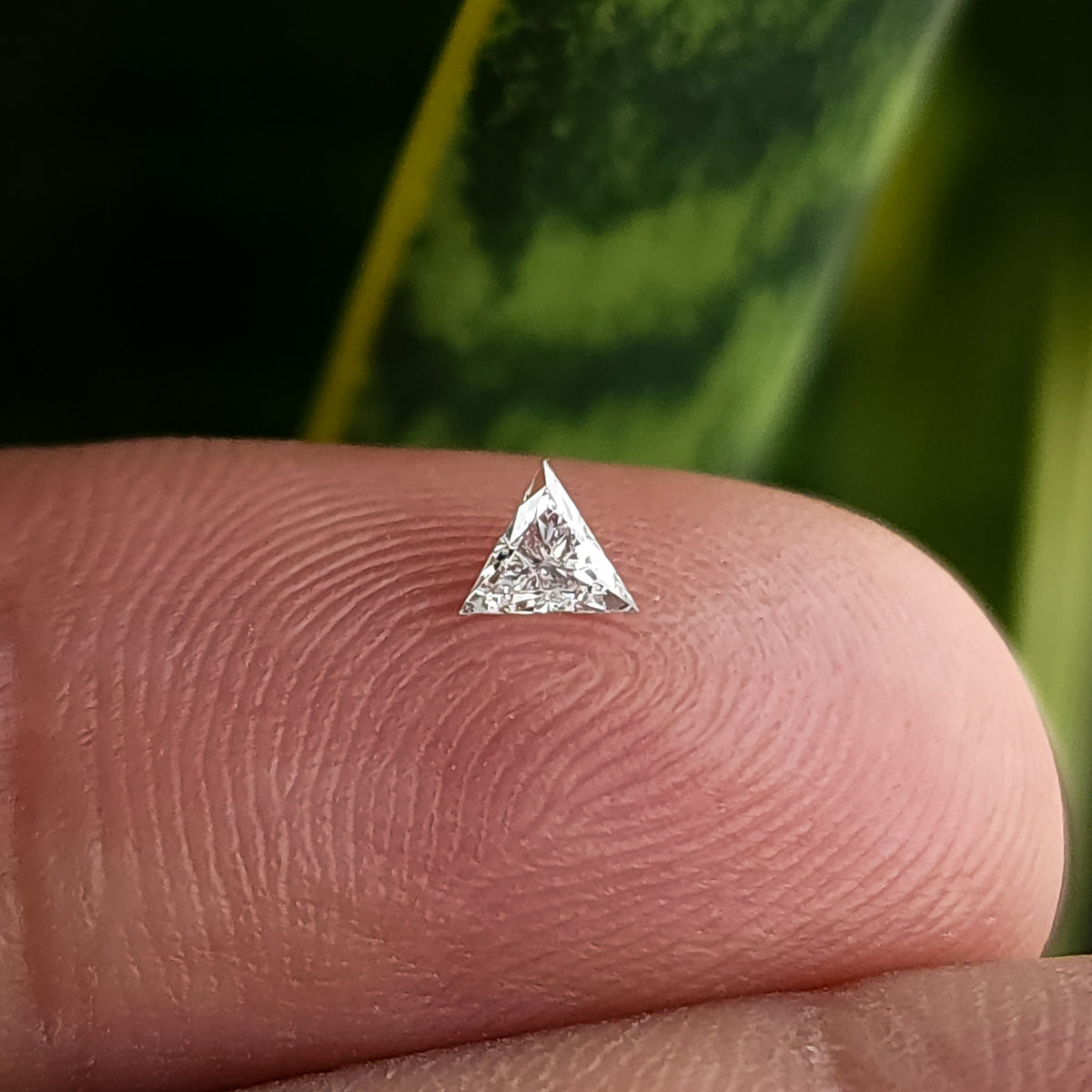One triangle diamond resting face-up on a fingertip, with skin ridges and the neighboring finger showing its small scale.
