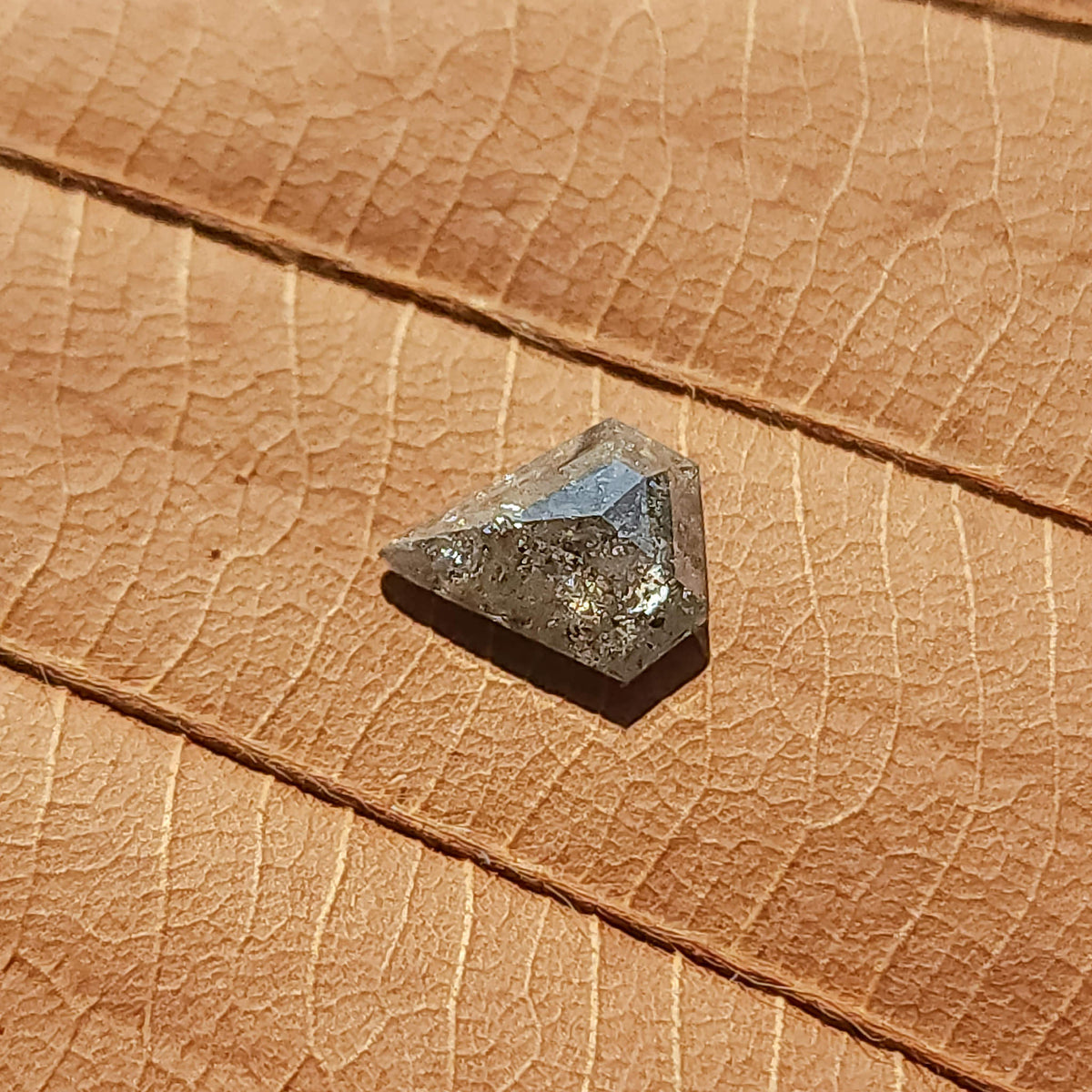 Shield-shaped salt and pepper diamond resting at an angle on a brown leaf, showing dark inclusions and pale facets.