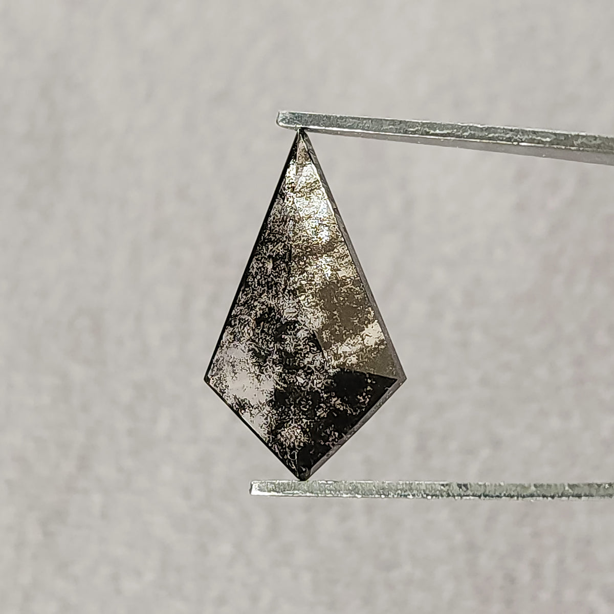Face-up view of a speckled grey and black kite-shaped gemstone held in metal tweezers against a plain light grey background.