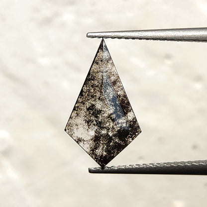 Straight face-up view of a kite-shaped speckled black and clear gemstone held in metal tweezers against a bright, light surface.