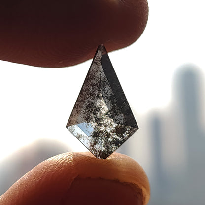 Backlit silhouette view of a speckled kite-shaped gemstone pinched between two fingers against a bright, blurred outdoor background.
