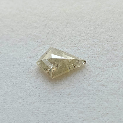 Angled face-up view of the untreated kite rose-cut diamond, showing its geometric outline and salt and pepper pattern.