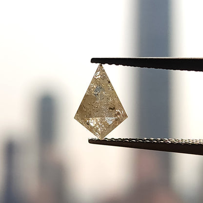 Backlit view of the kite-shaped natural diamond, revealing translucent areas around visible salt and pepper inclusions.