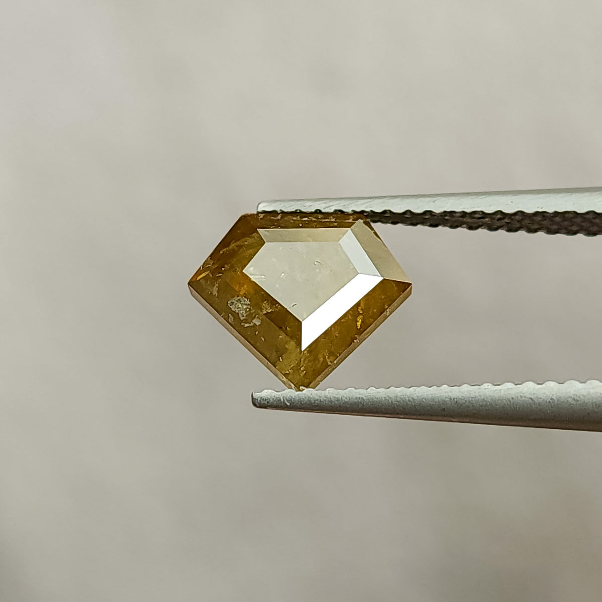 Close face-up view of the two-sided shield diamond with bright highlights across its geometric facet pattern.