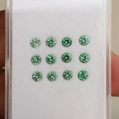 Representative mint-green round sapphire stock displayed table-up in rows inside a clear case.
