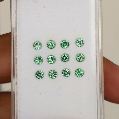 Close view through a clear case of mint-green round lab-grown sapphires in table-up rows.