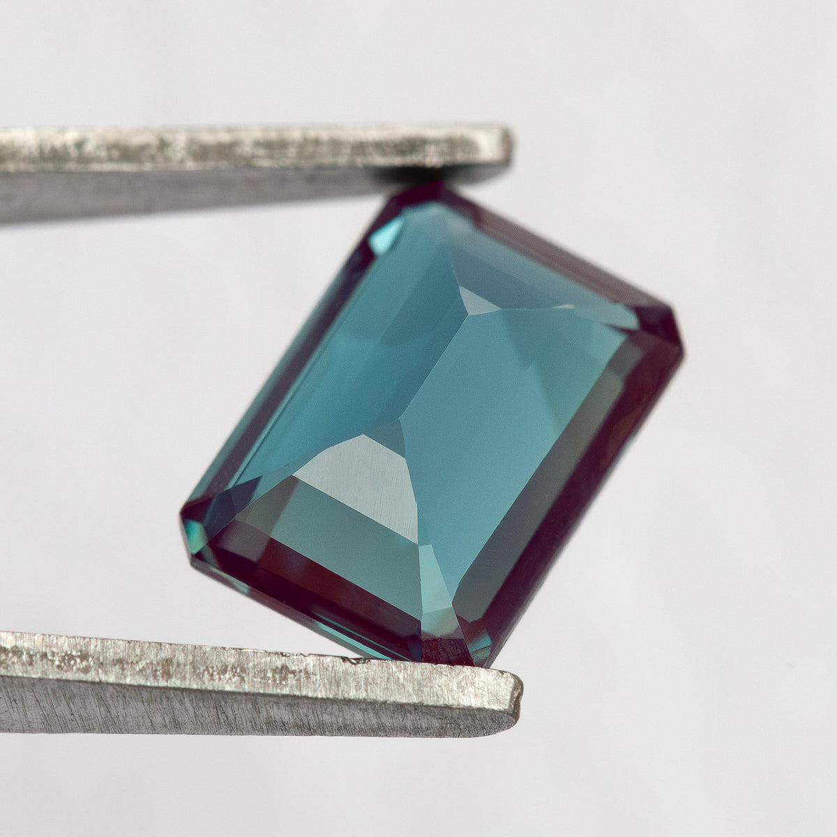 Tilted back-facet view of the rectangular sample between tweezers.
