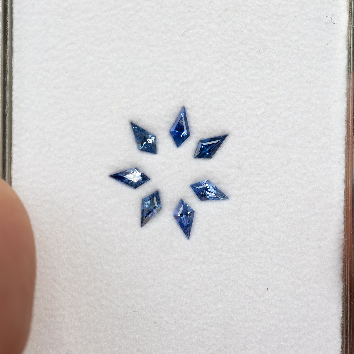 The seven blue sapphires in a display box, with part of a hand visible beside the box for scale.