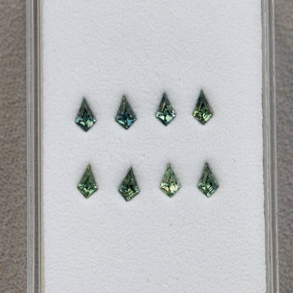 Eight kite sapphires arranged in two rows inside a gem tray.