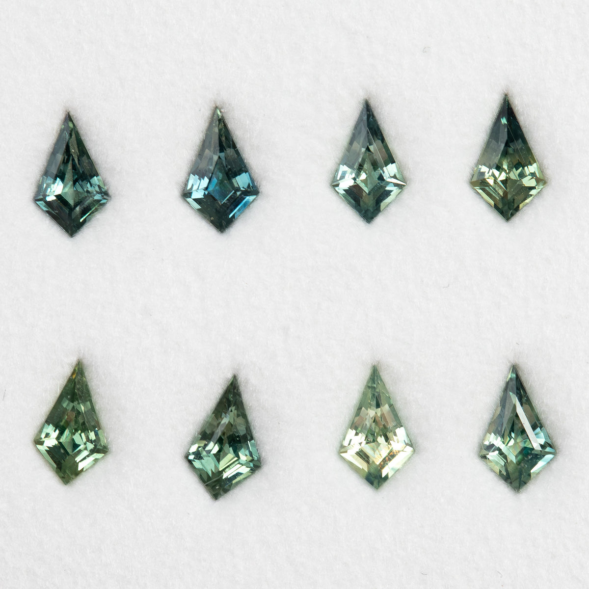 Closer overhead view of the original group, showing the different green and teal tones.