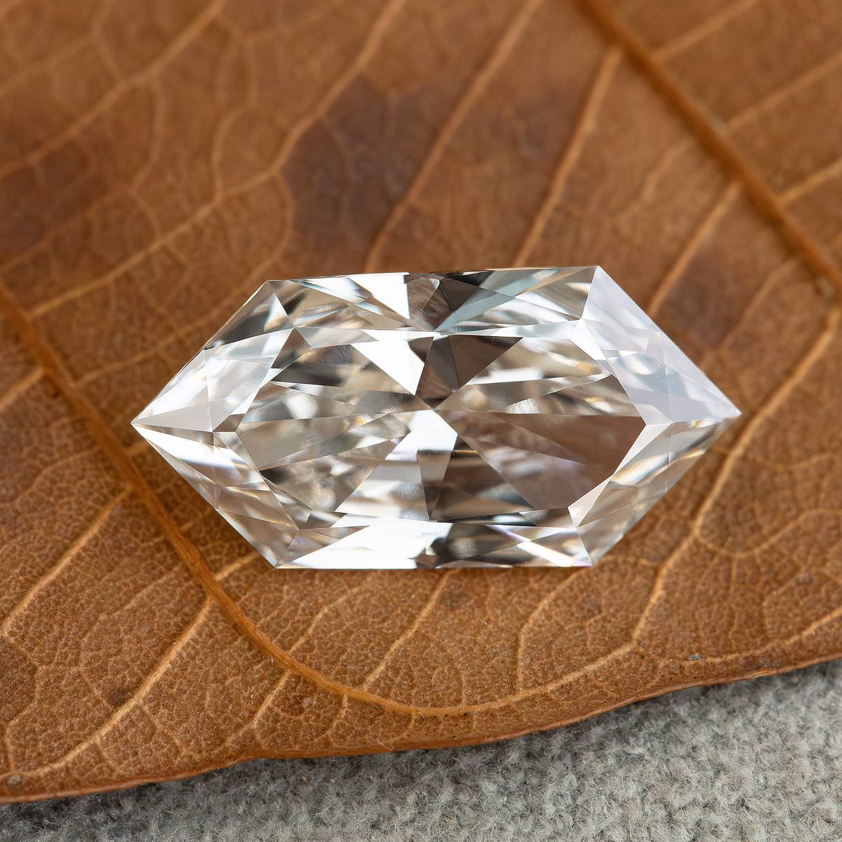 Detailed face-up view of an elongated hexagonal Dutch marquise diamond centered on a textured dry leaf.