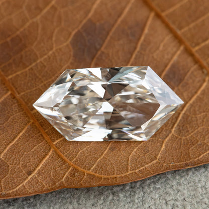 Detailed face-up view of an elongated hexagonal Dutch marquise diamond centered on a textured dry leaf.