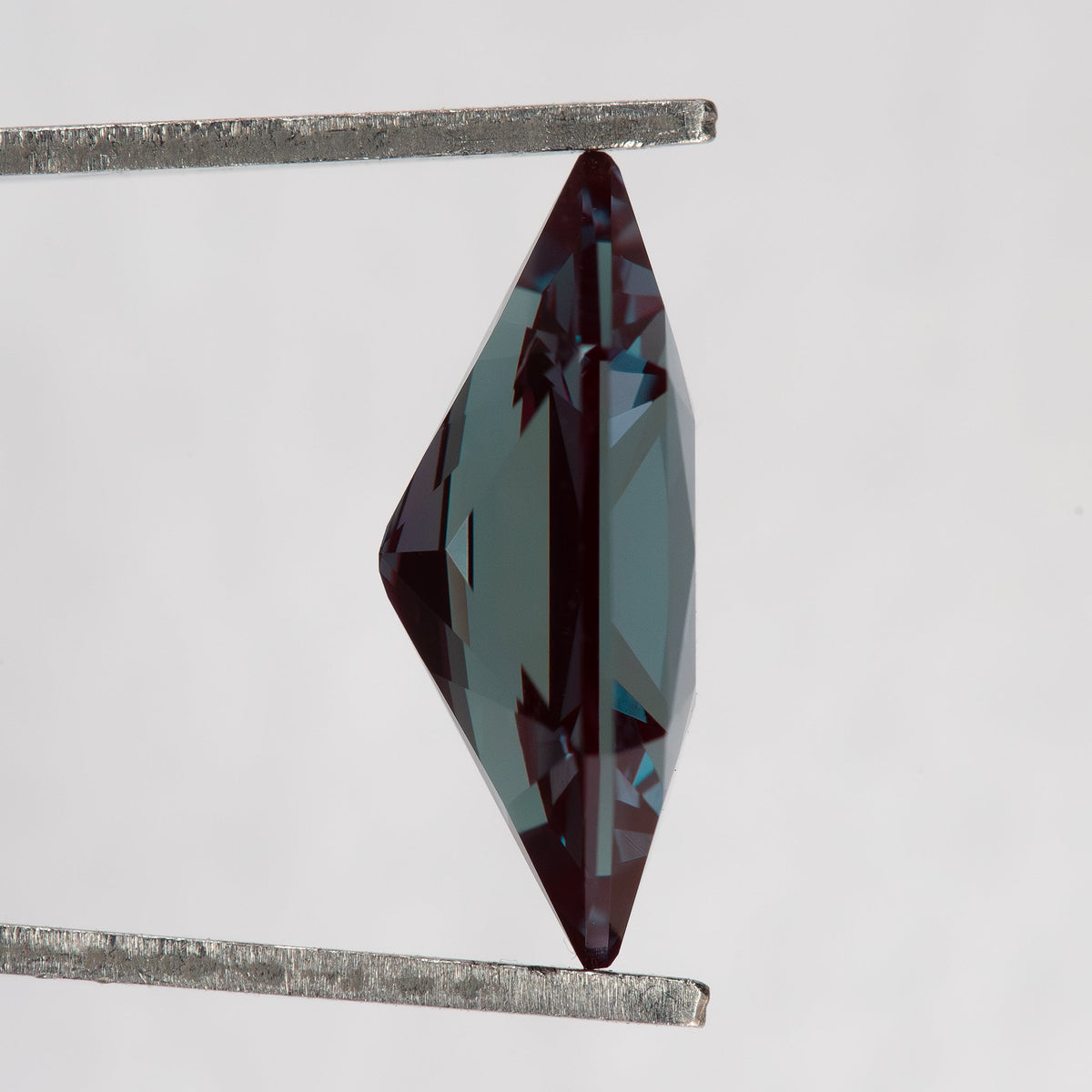 Side profile of BLS112 in tweezers, showing its pointed ends and approximate 4.6 mm depth.