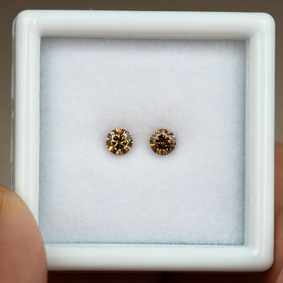 Face-up view of two round cognac-brown diamonds centered on white padding inside a display box, with warm golden facet reflections.