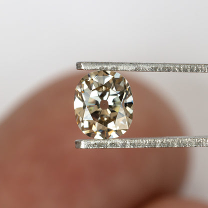 Face-up view of the loose diamond held in tweezers against a softly blurred hand for a sense of scale.