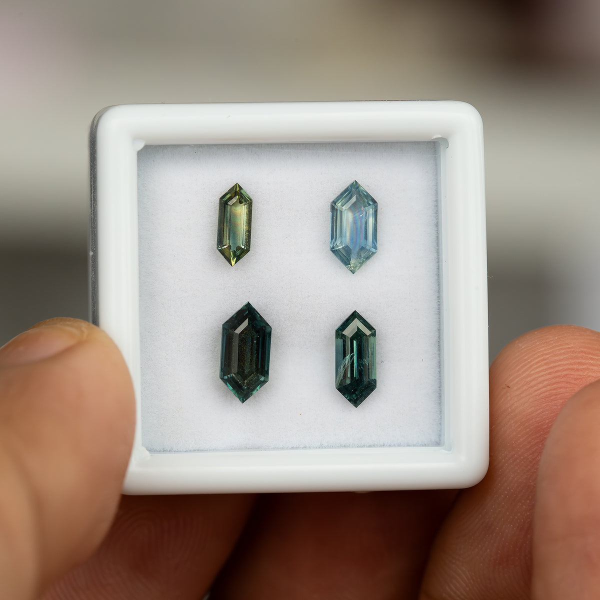 Four natural sapphires displayed together in a gemstone box.
