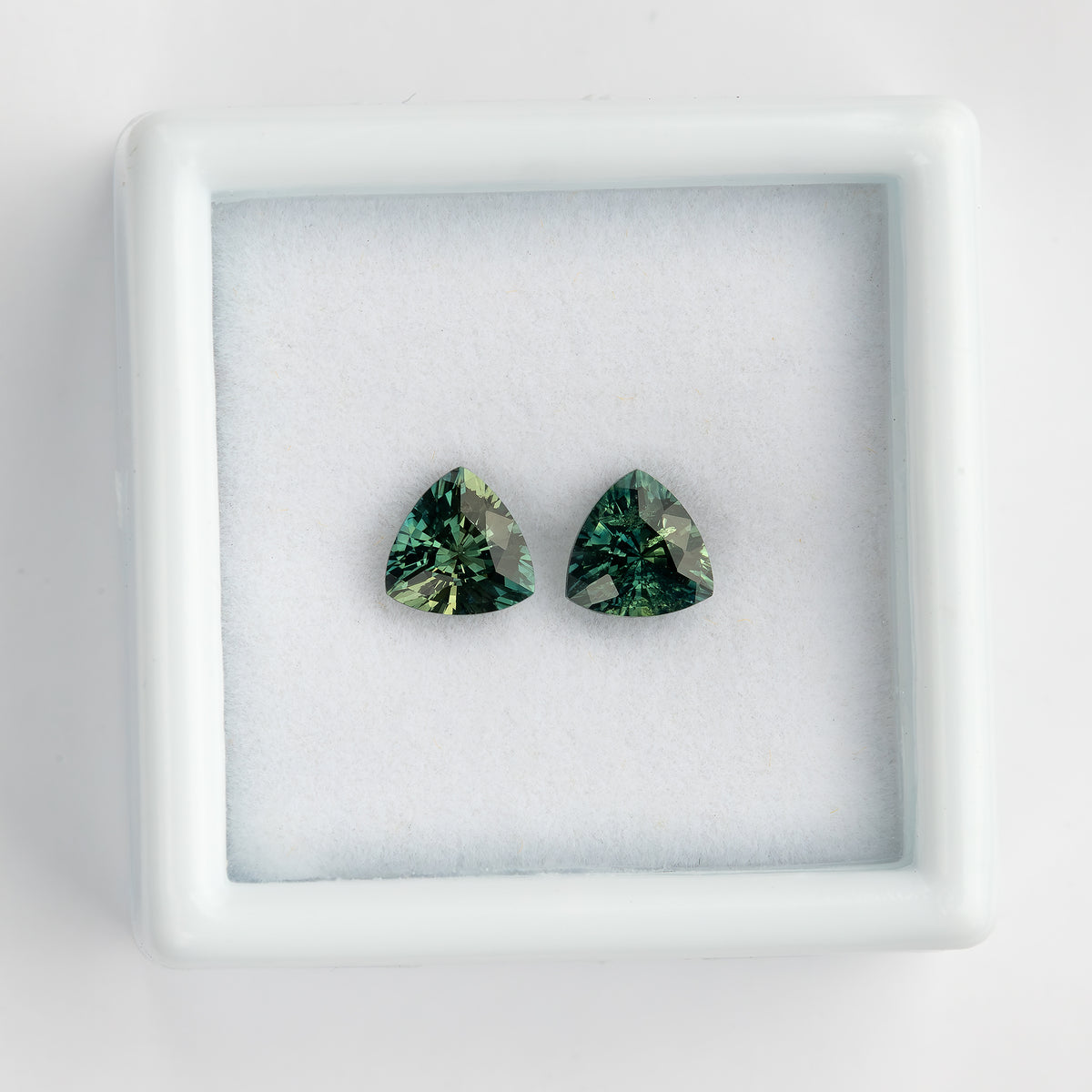 The teal-green trillion sapphire pair together in a white display tray, showing differences in their reflected colors.