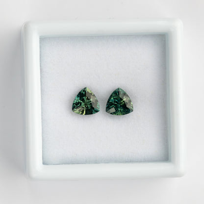 The teal-green trillion sapphire pair together in a white display tray, showing differences in their reflected colors.