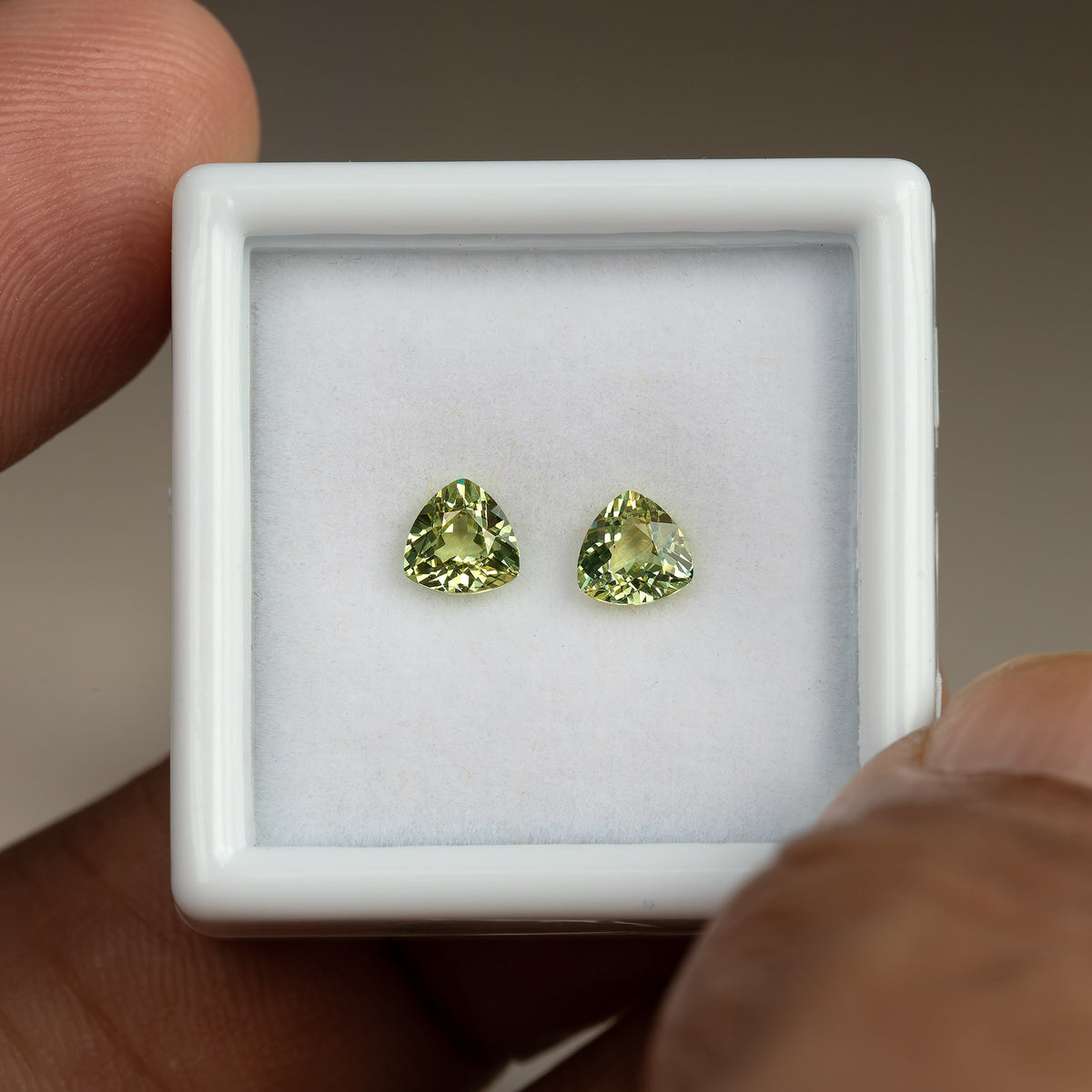Two small trillion sapphires in a white display tray held between fingers, giving a sense of the pair’s scale.