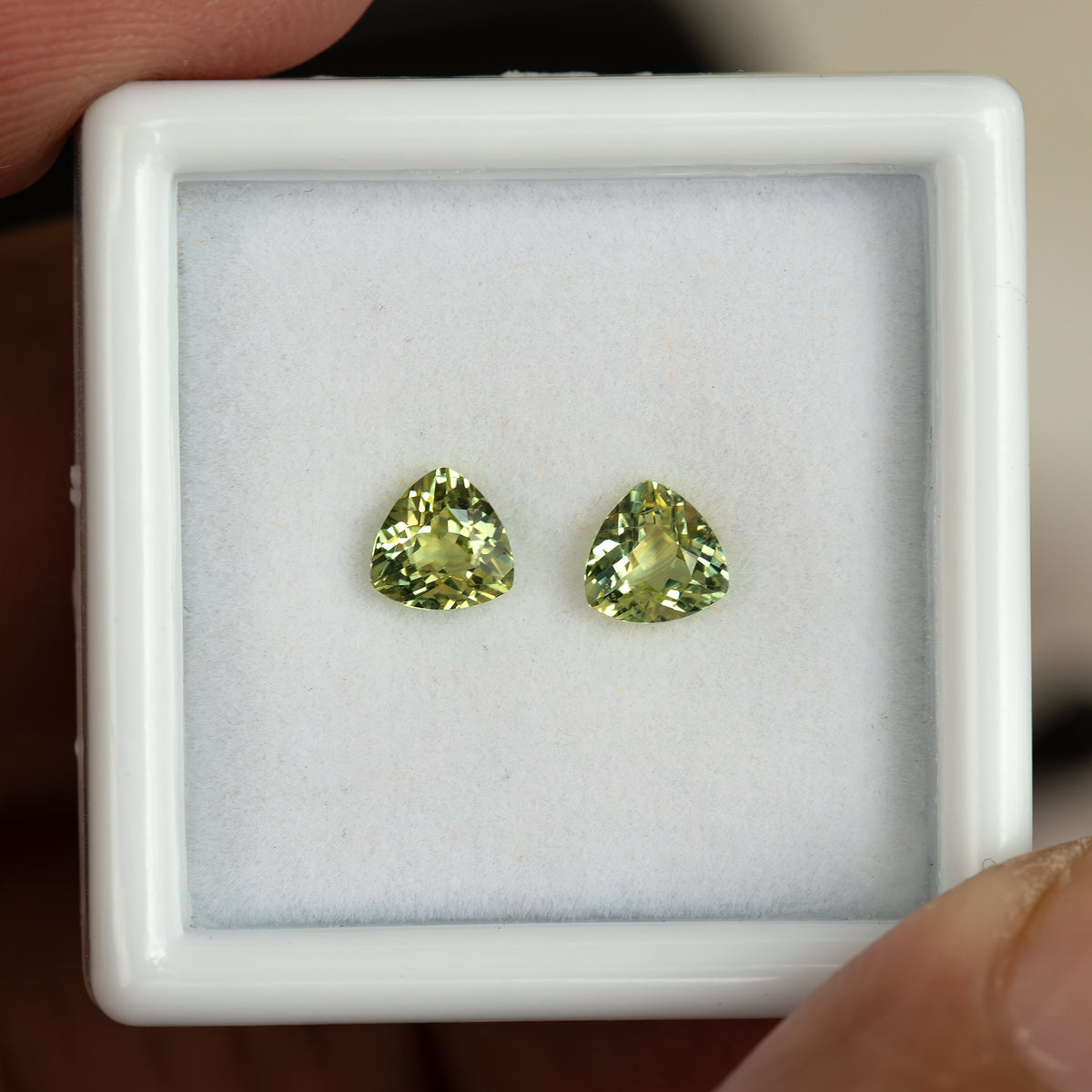 Slightly angled view of the sapphire pair in a white tray held between fingers, showing changing facet reflections.