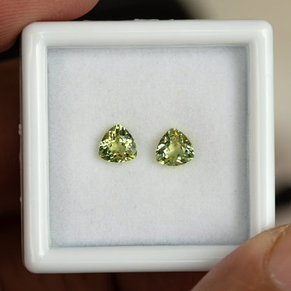 Slightly angled view of the sapphire pair in a white tray held between fingers, showing changing facet reflections.