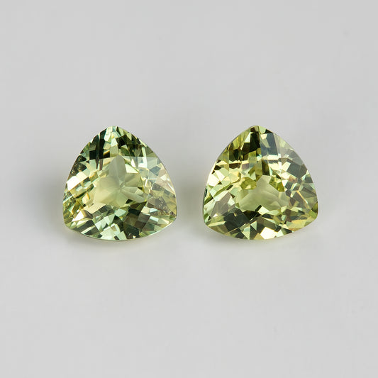 Face-up view of two yellow-green trillion sapphires on a white surface, showing complete rounded triangular outlines and olive-green and golden reflections.