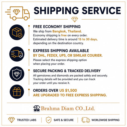 Informational graphic explaining shipping policies, standard economy delivery, and express upgrade details.