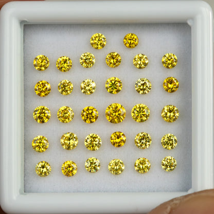 Representative yellow round diamonds arranged face-up in rows in a white display tray.