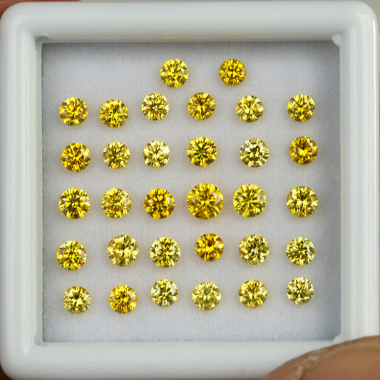 Representative yellow round diamonds arranged face-up in rows in a white display tray.