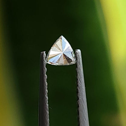 Pavilion view of a loose trillion-cut diamond held in tweezers, showing broad triangular facets against a green background. Representative stock.
