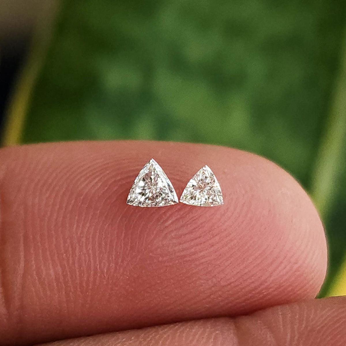 Two loose trillion-cut diamonds side by side on a fingertip against a blurred green background. Representative examples; quantity depends on selection.